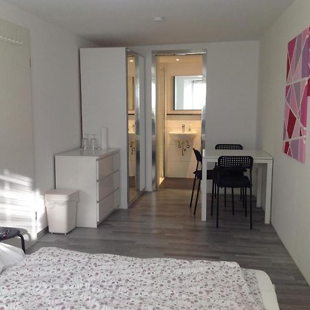 Stadtmitte Ferienwohnung Waldshut Экстерьер фото